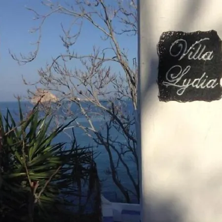 Lydia 招待所 *